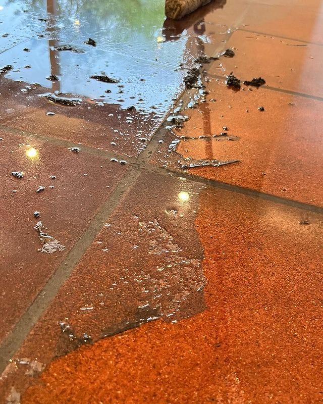 Bodensanierung Terrakotta